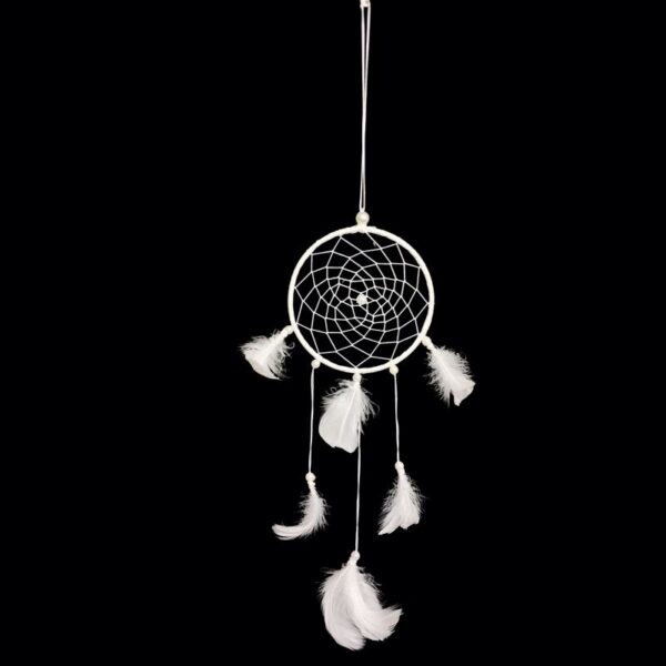 20251113-115849 20251113-115849