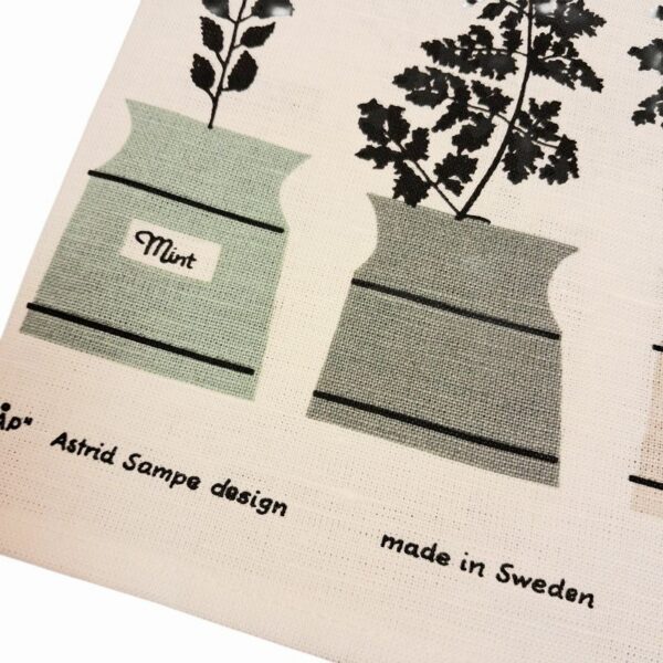 20251217-121654-Photoroom