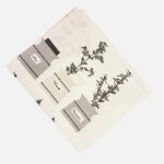 20251217-122014-Photoroom