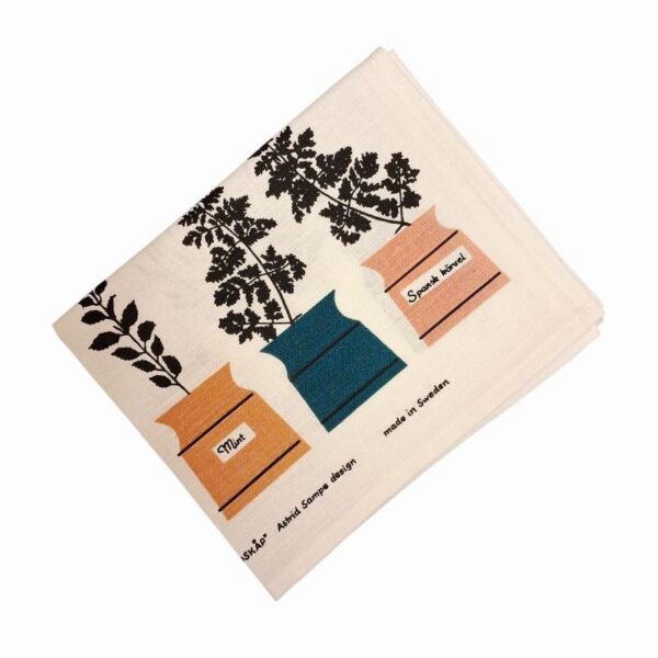 20251217-140522-Photoroom 20251217-140522-Photoroom