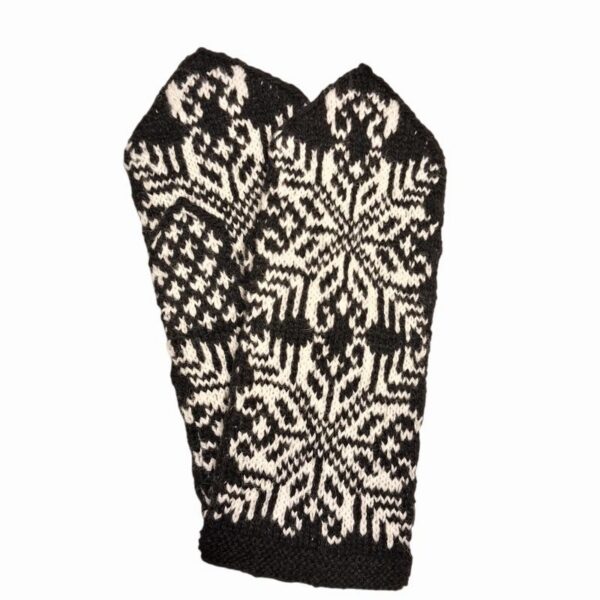 20260122-133331-Photoroom 20260122-133331-Photoroom