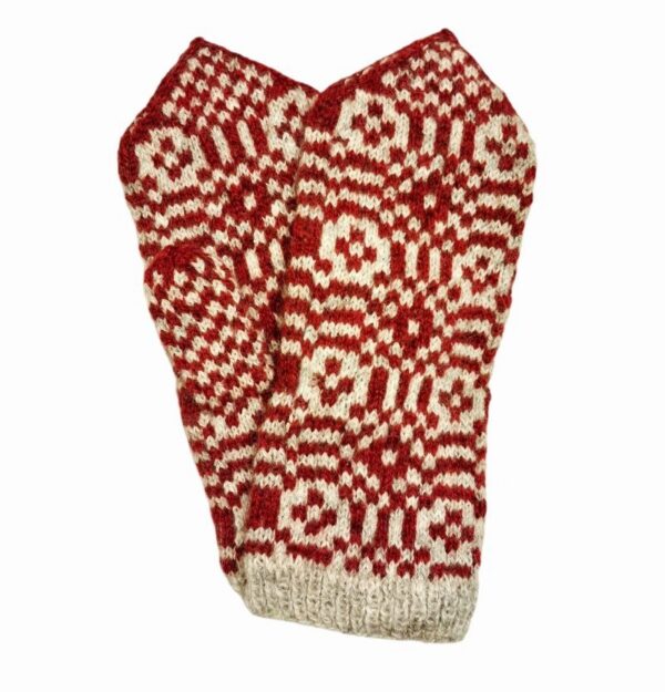 20260122-133504-Photoroom 20260122-133504-Photoroom