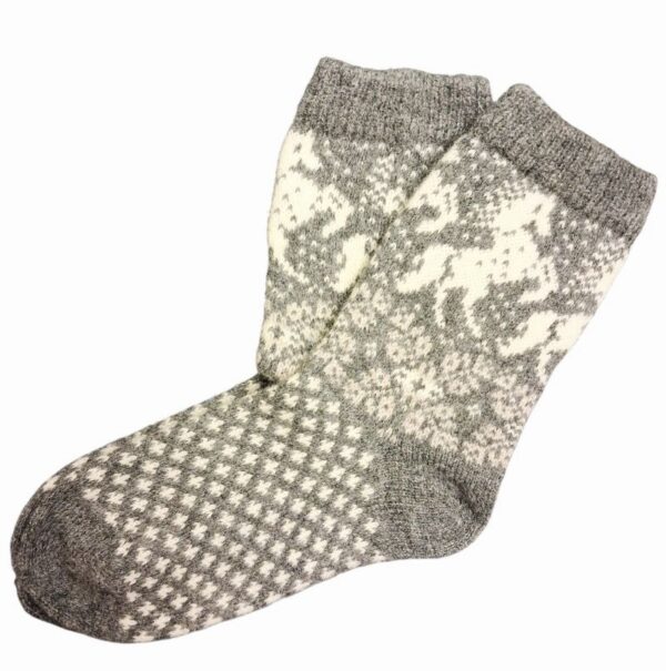 20260130-144207-Photoroom-2