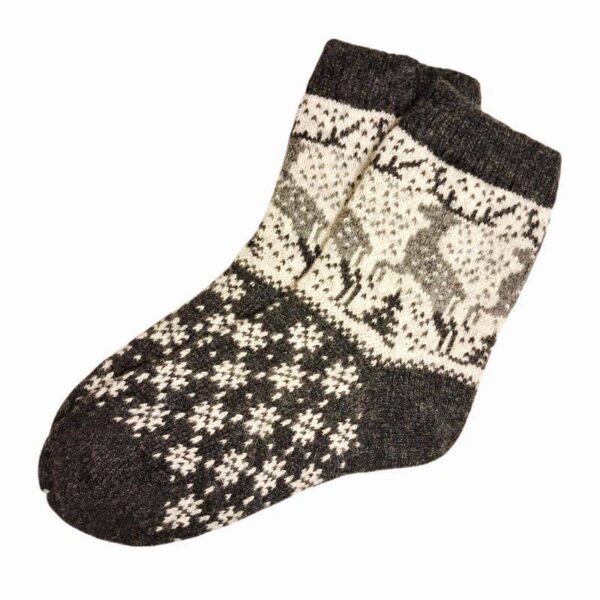 20260217-133510-Photoroom-1 20260217-133510-Photoroom-1