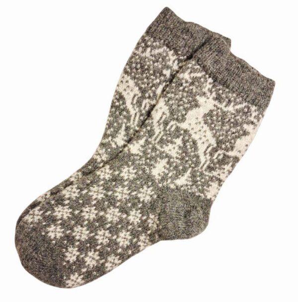 20260217-133551-Photoroom-1 20260217-133551-Photoroom-1