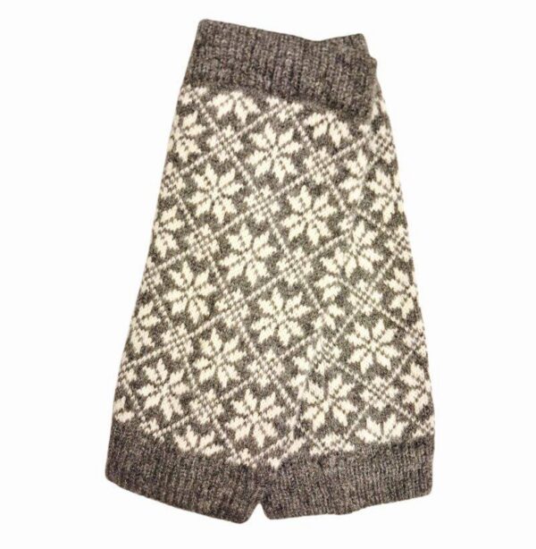 20260217-133646-Photoroom-1 20260217-133646-Photoroom-1