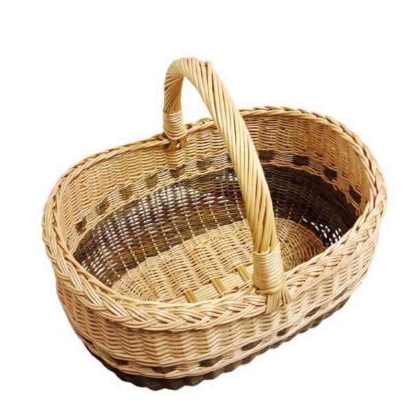 20260219-150049-Photoroom