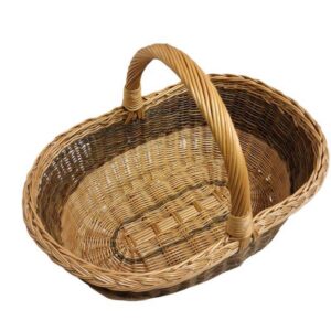 20260219-150415-Photoroom