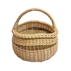 20260219-150507-Photoroom