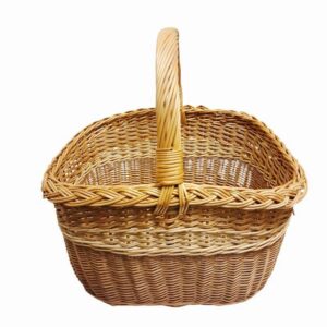 20260219-150548-Photoroom