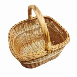 20260219-150551-Photoroom