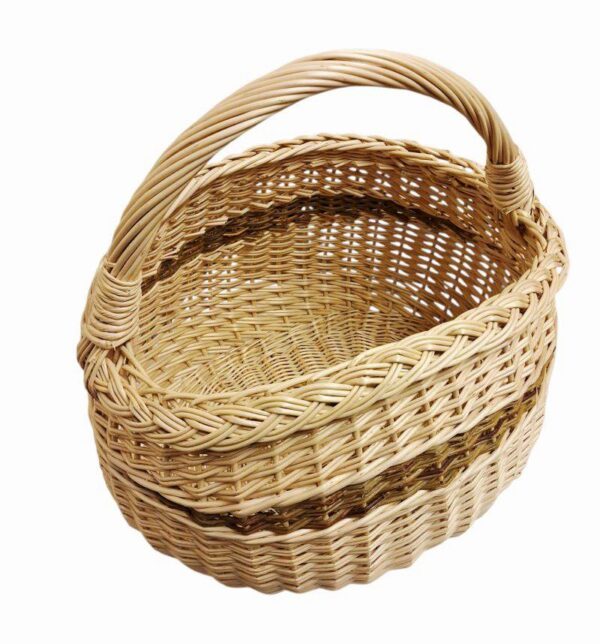 20260219-150606-Photoroom