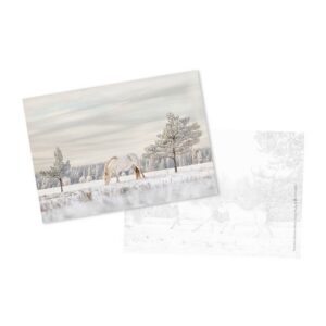 Postcard "Winter Magic" NR 2 - LoomaHetk