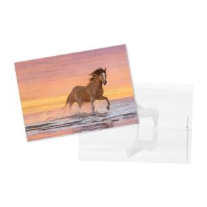 Postcard "Horse and sea" NO. 4 - LoomaHetk