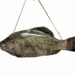 Photoroom-20250618-112200-12-2