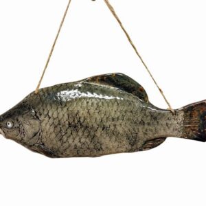 Photoroom-20250618-112200-12-2