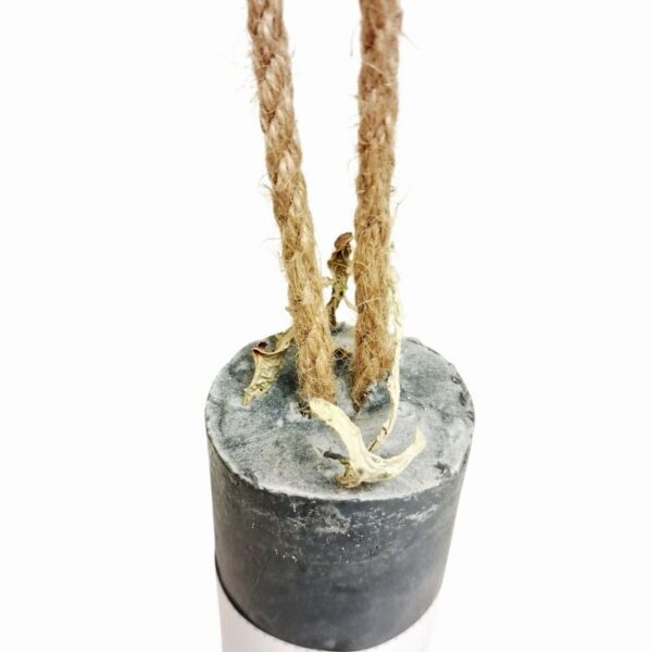 Photoroom-20250828-155236-3