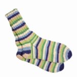 Photoroom-20251004-115749-5