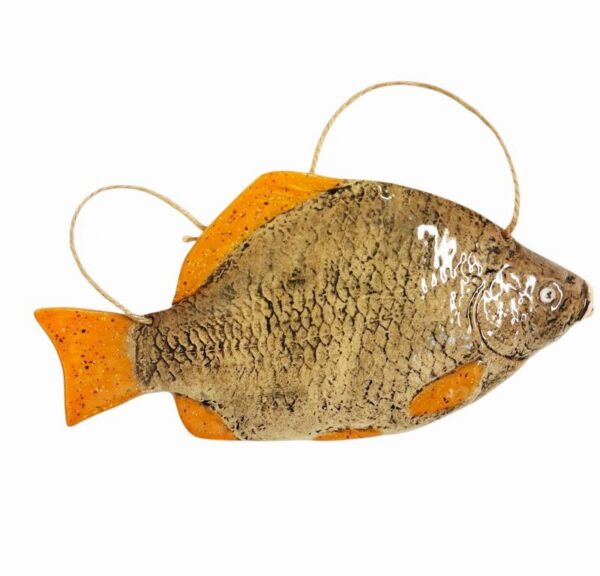 Photoroom-20251011-131147-11