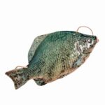 Photoroom-20251011-131147-12