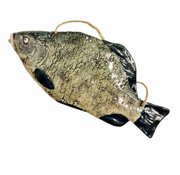 Photoroom-20251011-131147-2 Photoroom-20251011-131147-2