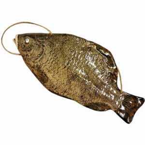 Photoroom-20251011-131147-3