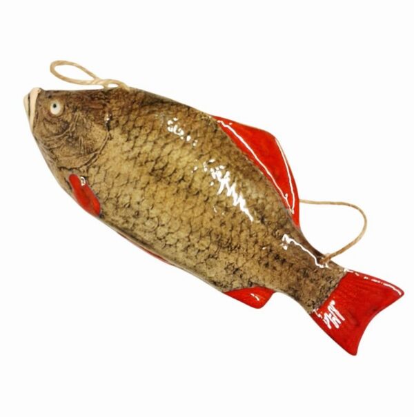 Photoroom-20251011-131147-4-2