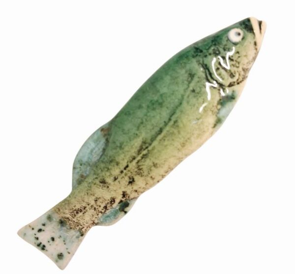 Photoroom-20251011-131148-25 Photoroom-20251011-131148-25