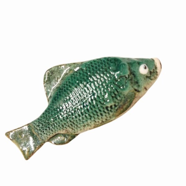 Photoroom-20251011-131148-28 Photoroom-20251011-131148-28