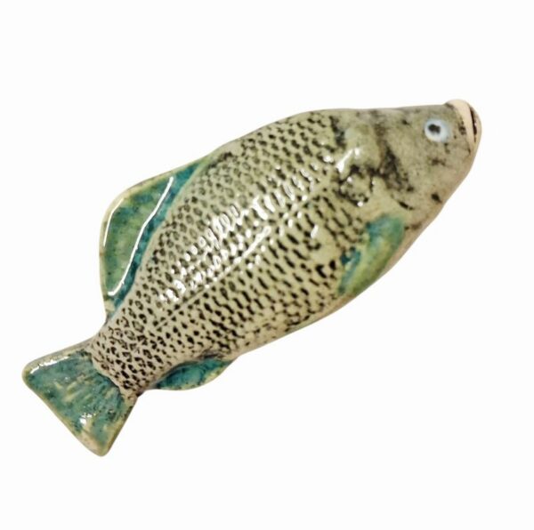 Photoroom-20251011-131148-31 Photoroom-20251011-131148-31