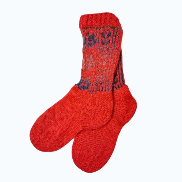 Photoroom-20251024-110337-5 Photoroom-20251024-110337-5