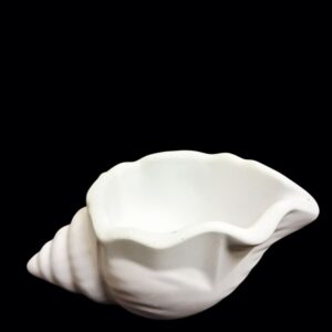 Photoroom-20251029-130614-4