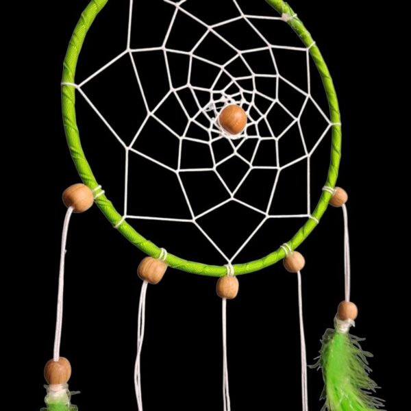 Photoroom-20251115-145239-1 Photoroom-20251115-145239-1