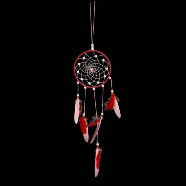 Photoroom-20251115-145240-3