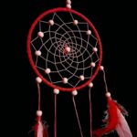 Photoroom-20251115-145240-4