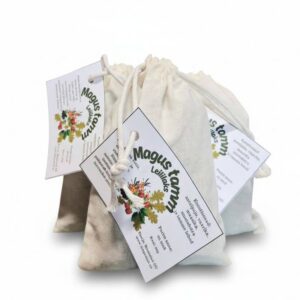 Photoroom-20260303-151353975