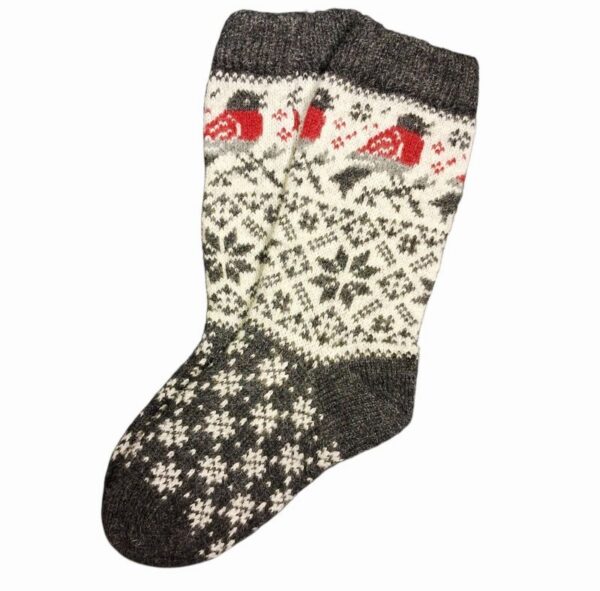 villased-sokid-2-3 villased-sokid-2-3